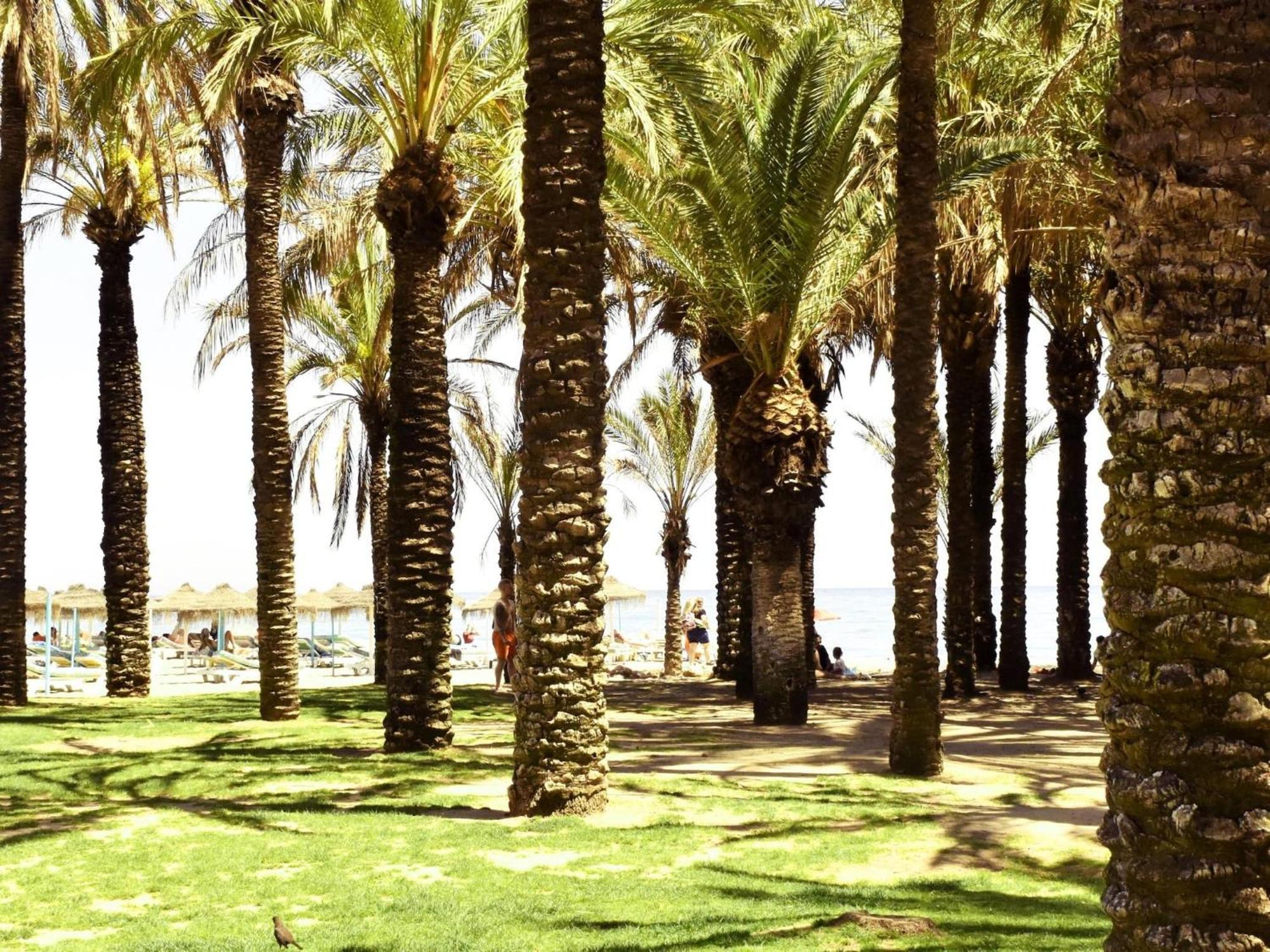 Luminoso Apartamento De 3 Dormitorios A Pie De Playa En Torremolinos Luaran gambar